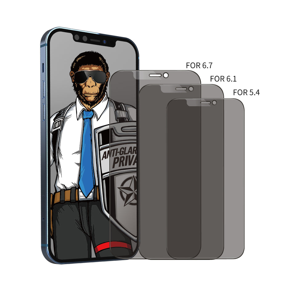 Premium Privacy Matte Series 2.5 D Tempered Glass By Shopyholy Compatible for iPhone
