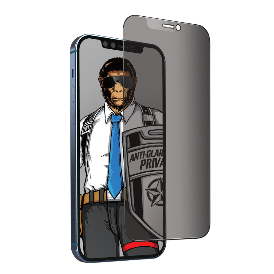 Premium Privacy Matte Series 2.5 D Tempered Glass By Shopyholy Compatible for iPhone